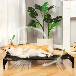 Cooling Elevated Dog Bed Raised Dog Cot Fits, Pet Cot with Durable Supportive Mesh, Indoor & Outdoor, Black, Small Pet Bed
