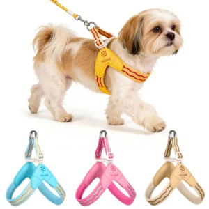 Spring Summer Cat Puppy Harness Wear Simple