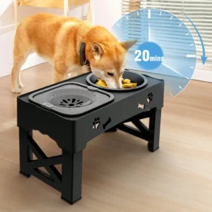 Raised Dog Bowl Stand Anti Slip Feet Double Feeder