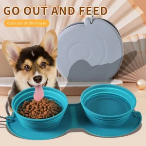 Foldable Dual Bowl Feeding Bowl Portable Silicone